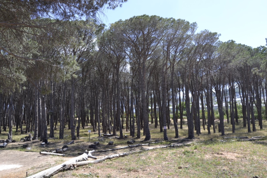 3 Bedroom Property for Sale in Somerset Lakes Western Cape